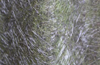 Milton Bridge fibreglass roof work